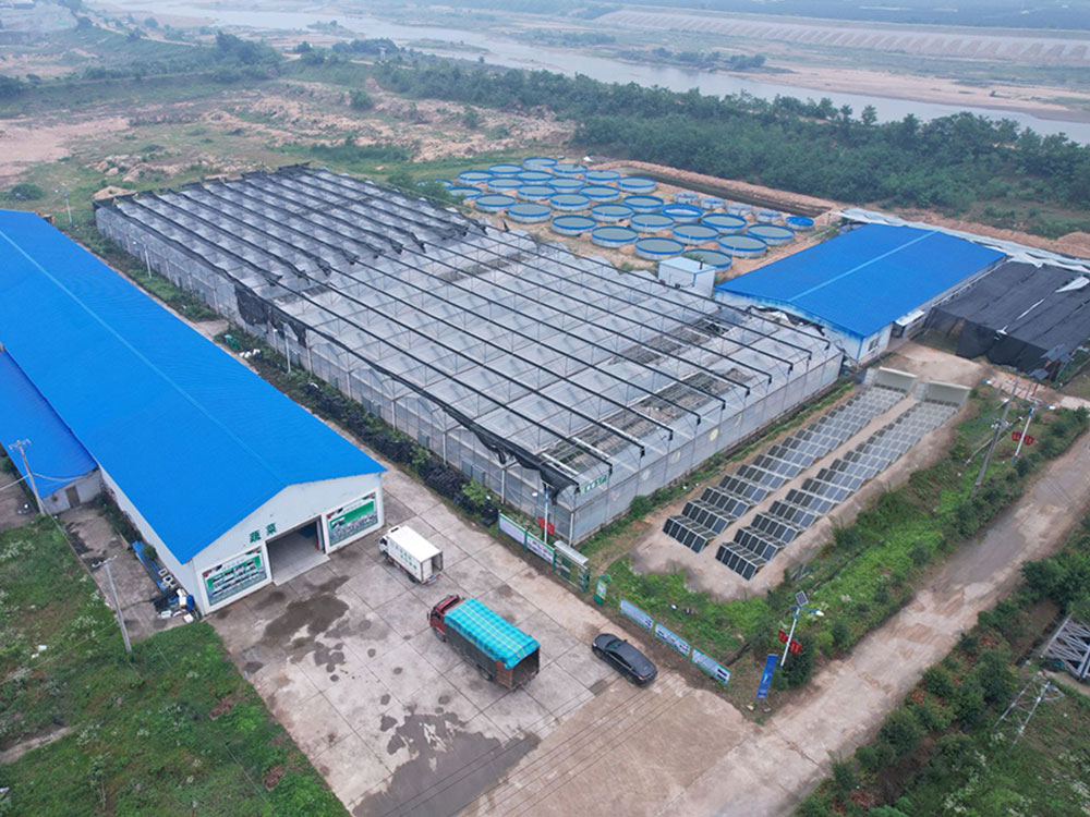 Solar Power Containers for Vlastito napajanje